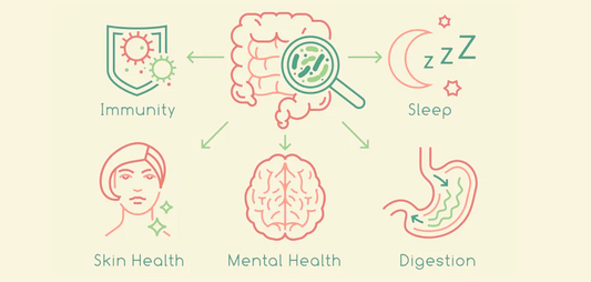 Gut Check: How Poor Gut Health Disrupts Nutrition, Digestion, and Metabolism