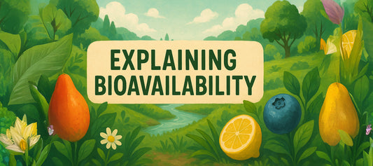 What Is Bioavailability? How Liposomal Technology Supercharges Nutrient Absorption